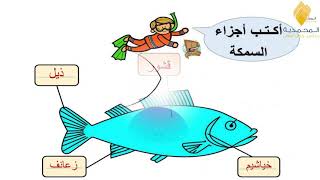 حصص العلوم  درس الأسماك  للصف الثالث  للاسبوع الرابع وفقا للخطة الأسبوعية