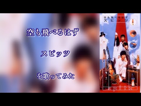 空も飛べるはず/スピッツ を歌ってみた