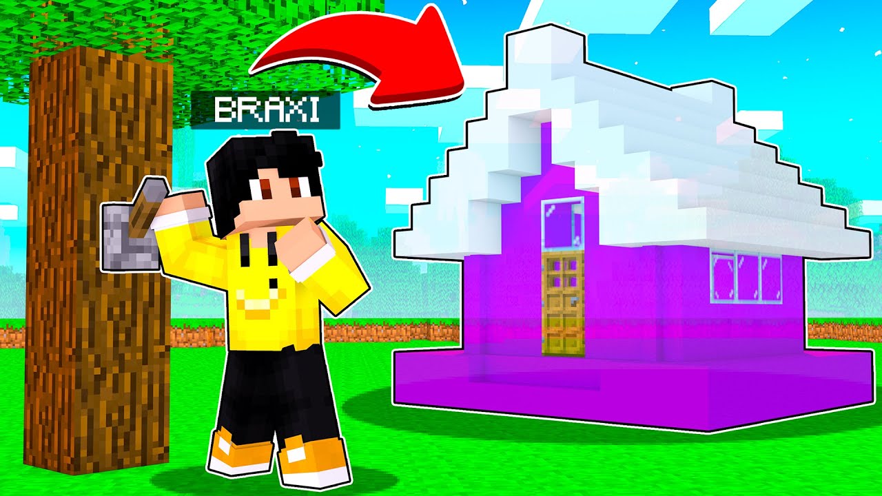 ich finde BRAXIS GEHEIME BASE in Minecraft!