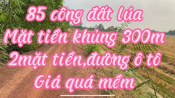 Bán đất ruộng,đường xe ô tô.giá 85tr/công. tuyên Bình,huyện Vĩnh Hưng,Long an.Sđt:0906375373