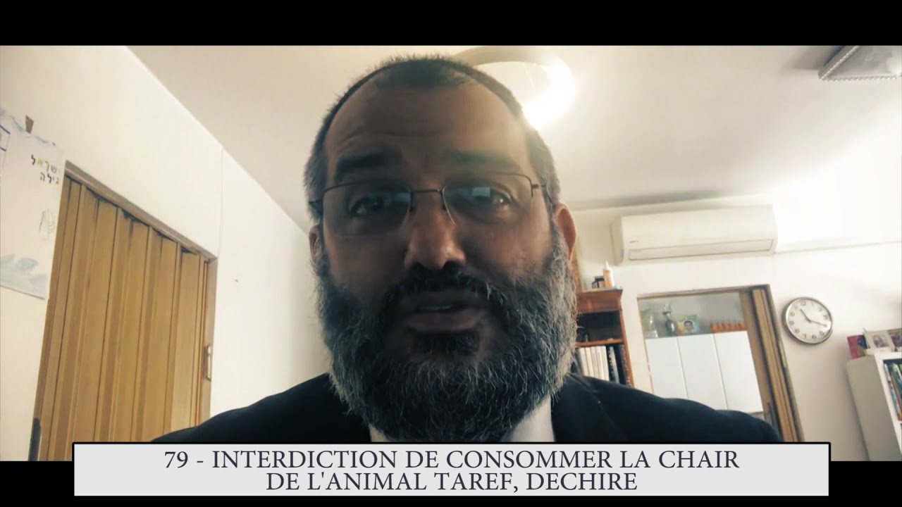 613 - 79eme MITSVA DE LA TORAH - Interdiction de consommer la chair de l'animal tarèf, déchiré