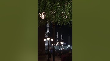 تلاوة تهز القلوب وتقودك للسكينة | بصوت يبكي الحجر وتبث السكينة في الروح استمع بقلبك