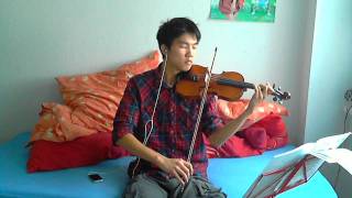 Part Of Your World ( Violin )