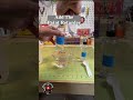 S131 – Homemade Airbrush Paint Thinner #paintingmodels #airbrush #diy thumbnail
