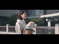 erva 多機能ドッグスリング[アベルト] PV