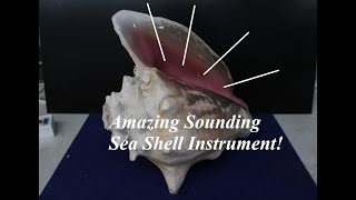 How to Make a Conch Horn