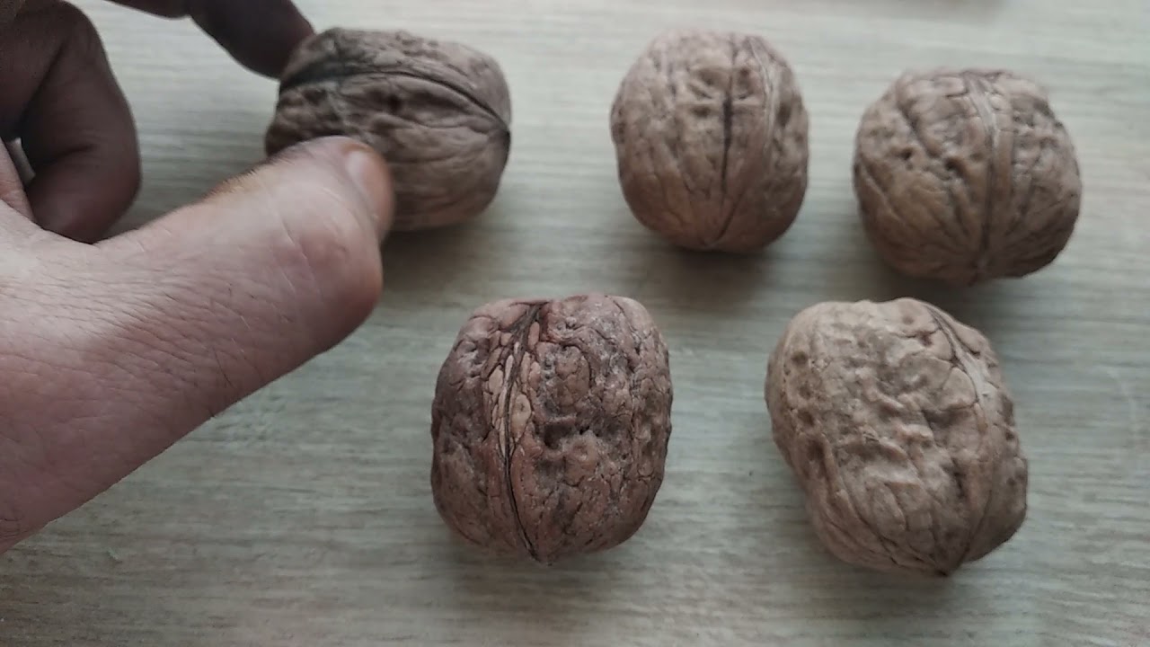 Howard çeşidini inceliyelim....