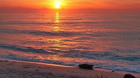 سورة الرحمن محمد المحيسني #quran #قرآن #القرآن_الكريم #تلاوة_خاشعة