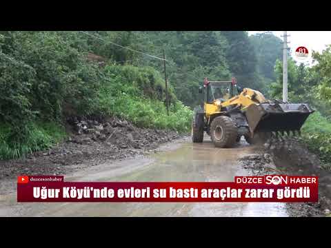 Düzce'de aniden bastıran
