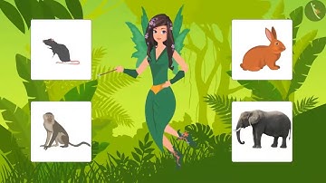 Class 3 EVS Chapter  24 Web of Life English Environmental Studies cbse ncert Looking Around