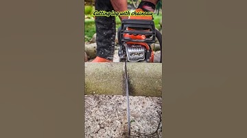 Cutting logs with a chainsaw #automobile #stihl #lumberjack #chainsaw#ytshorts
