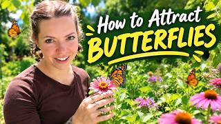 Want More Butterflies? Do These 3 Things