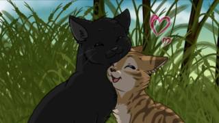 Leafpool and Crowfeather tribute