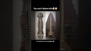 You won't believe this🤯🤯 #subscribe #shortsfeed #sanatandharma#viral#shorts #trending