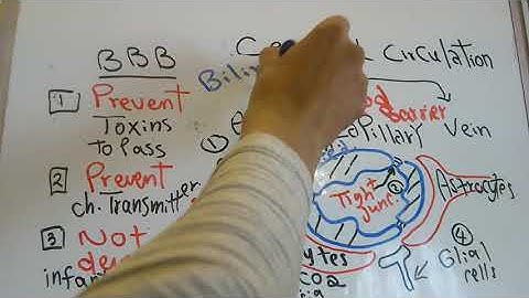 CVS new system (Cerebral circulation part 1) dr mohamed fayez