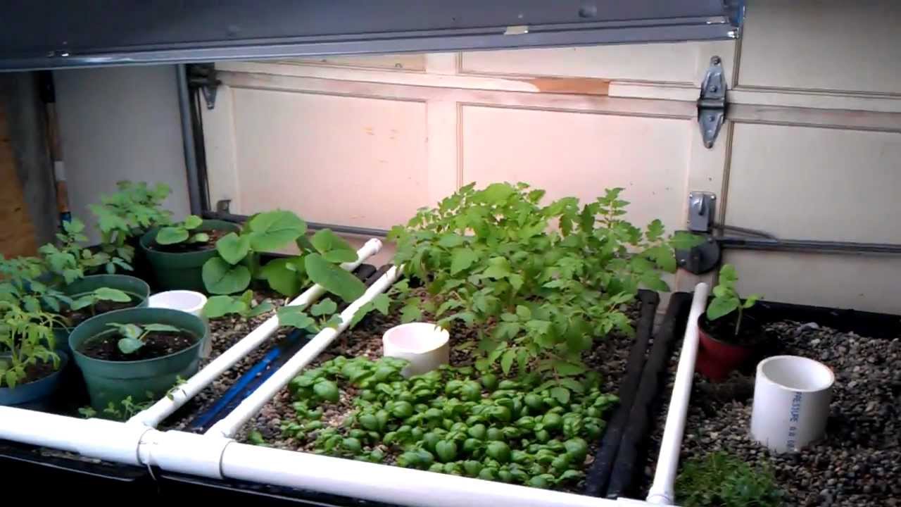 Aquaponics kansas city