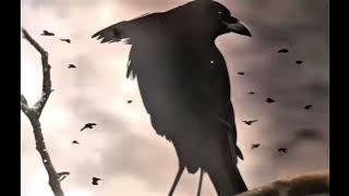 Chri$tian - Out My Head