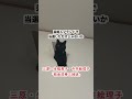 【無能】「三原じゅん子・生稲晃子・今井絵理子」←「税金泥棒三姉妹｣
