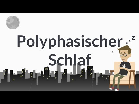 Video: Was macht ein Polyphaser?