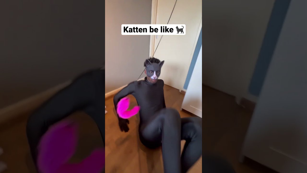 Katten Zijn Echt Zo