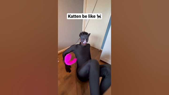 Katten zijn echt zo 😂 #katten