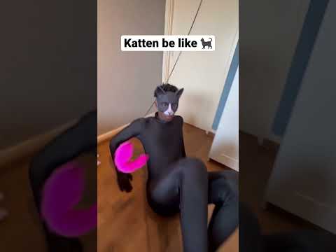 Video: Wanneer waren sam en kat?