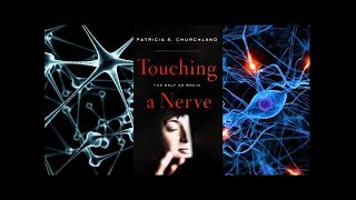 Touching A Nerve The Self As Brain Patricia Churchland