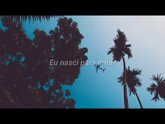 MEDUZA - Paradise [Tradução/Legendado] ft. Dermot Kennedy 