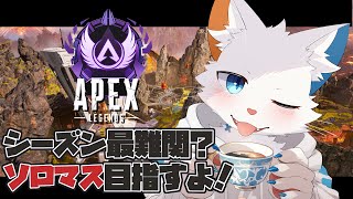 【Apex】S20ソロマスターチャレンジ14日目【旅猫シロ/ケモノVtuber】