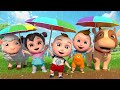 Thỏ Tắm Nắng & Thời Tiết Vui Nhộn ☀️🌧️