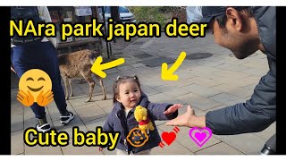 Nara park japan deer #deer #japan subscribe please   ❤  ♥    ❤