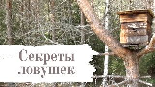 Несколько СЕКРЕТОВ по установке ЛОВУШКИ НА ПЧЁЛ #30