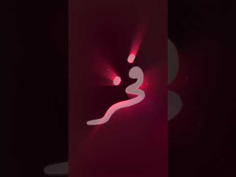 تحتفل كلية المجتمع في قطر بتخريج دفعة عام 2024       2024