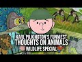 Karl Pilkington's Funniest Thoughts On Animals | Compilation, Wildlife Special