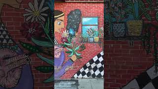 Brooklyn Neighborhoods - Cobble Hill — Cobble Hill, Brooklyn, NY — community video