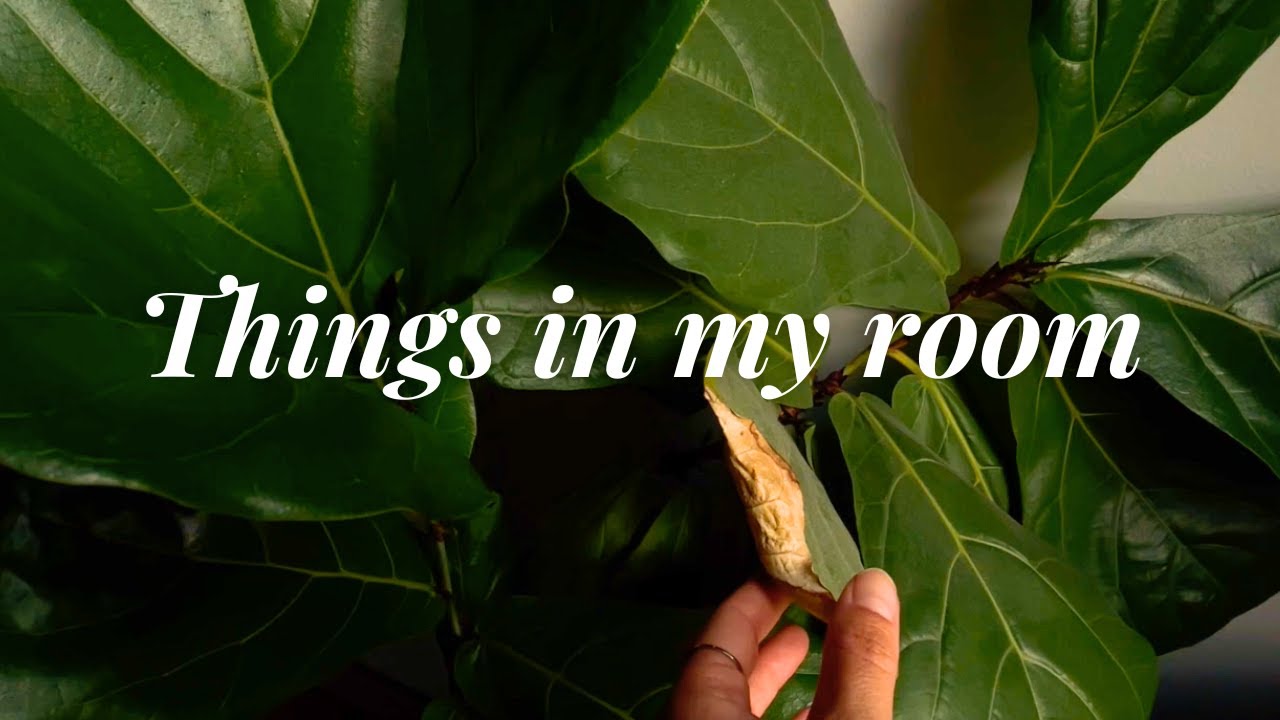 Showing you things in my room (Soft Spoken)