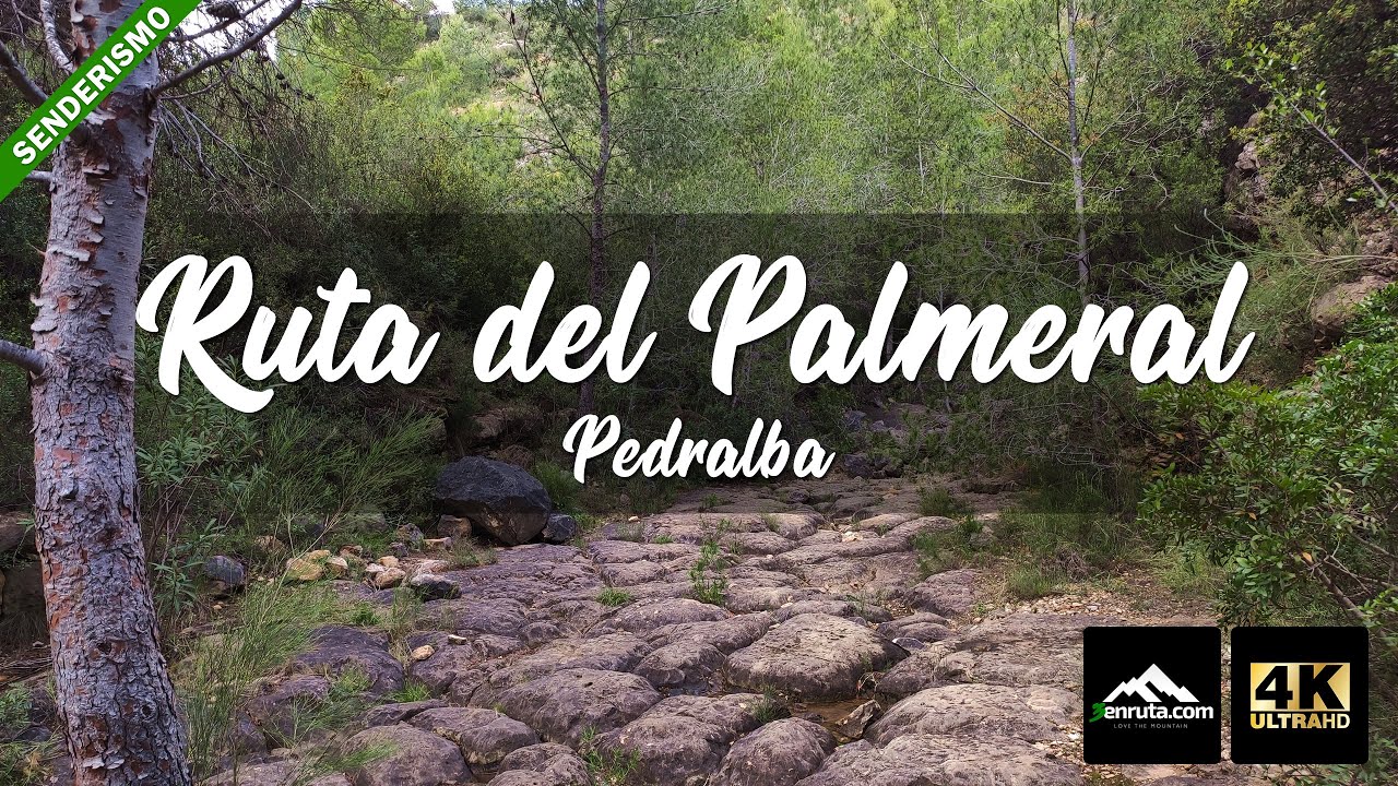 Ruta del Palmeral de Pedralba - Senderismo en Valencia
