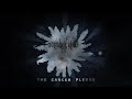 October tide  the cancer pledge official lyric