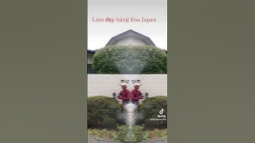 Công việc tts tại Nhật- cắt tỉa cây cảnh đẹp Japan ( Nhật bản)