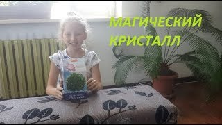 Магический Кристалл\\ Magic Crystal