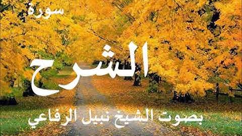 094 سورة الشرح بصوت نبيل الرفاعي