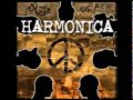 Harmonica - Khelouni N3ich