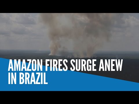 Amazon fires surge anew in Brazil