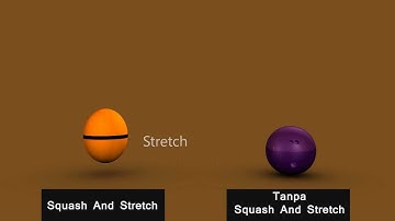 1. Squash And Stretch