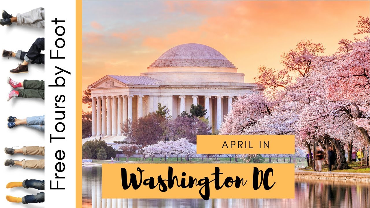 12 Things To Do In April In Washington Dc For Tourists 2020