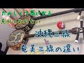 沖縄三線と奄美三線の違い/解説動画/絵美こさめ