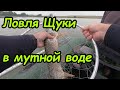 Рыбалка на спиннинг с лодки, вода цветёт, видимость никакая, но свою  рыбу мы поймали!