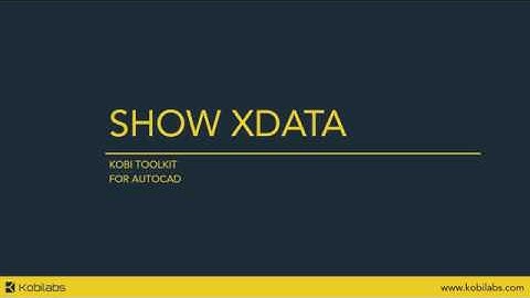 AutoCAD Show Xdata - Kobi Toolkit