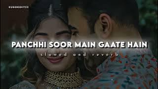 PANCHHI SOOR MAIN GAATE HAIN (Slowed and Reverb)....❤️❤️❤️🤩🤩🤩🤩🤩🤩