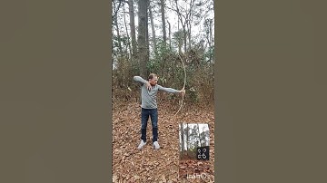 Hand-made Poplar Bow(first shots)